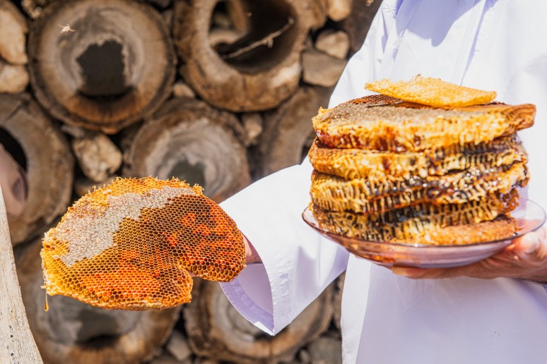 Collecting honey disks that are naturally produced by bees